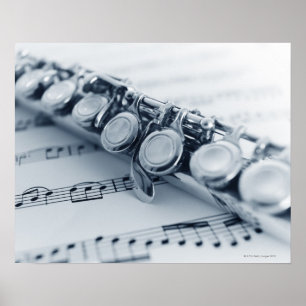 Detailed Flute Poster