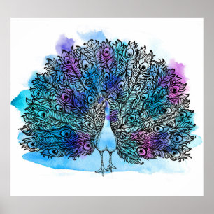 Detailed Hand Drawn Peacock: Clip-Art Poster