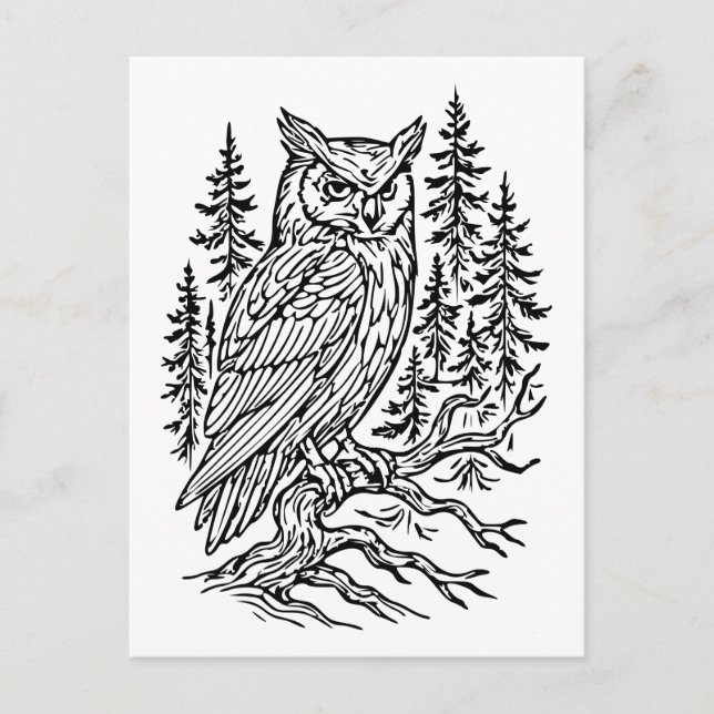 Detailed Horned Owl in Pine Forest Line Art Postcard (Front)
