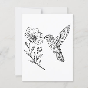 Detailed Hummingbird Line Art with Wildflower Postcard