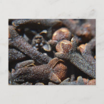 Detailed Macro View of Cloves Herb