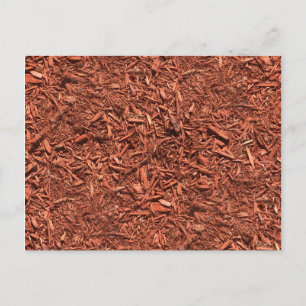detailed mulch of red cedar for landscaper postcard