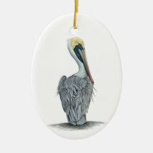 Detailed Painted Brown Pelican