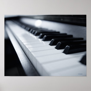 Detailed Piano Keys 2 Poster