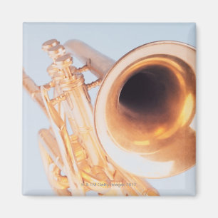 Detailed Trumpet 2 Magnet