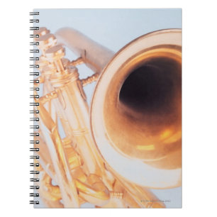 Detailed Trumpet 2 Notebook