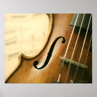 Detailed Violin