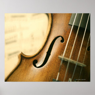 Detailed Violin Poster