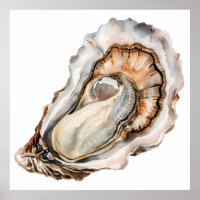 Detailed watercolor oyster illustration