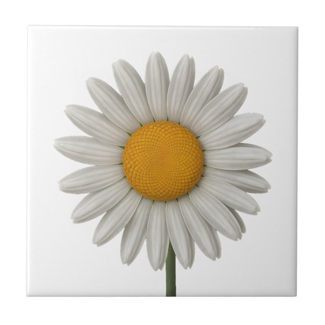 Detailed White Daisy Botanical Art Design Tile (Front)