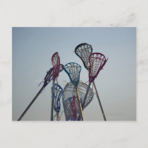 Details of Lacrosse game Postcard