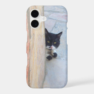 DETECTIVE CAT BEHIND THE STONE WALL