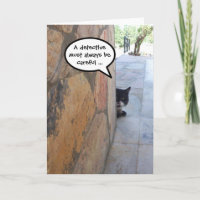 DETECTIVE CAT BEHIND THE STONE WALL