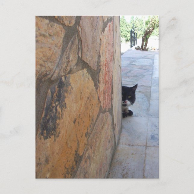 DETECTIVE CAT BEHIND THE STONE WALL / Father's Day Postcard (Front)