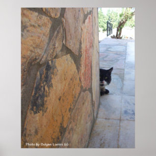 DETECTIVE CAT BEHIND THE STONE WALL / Father's Day Poster