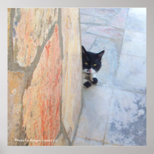 DETECTIVE CAT BEHIND THE STONE WALL / Father's Day Poster