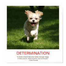 DETERMINATION demotivational poster