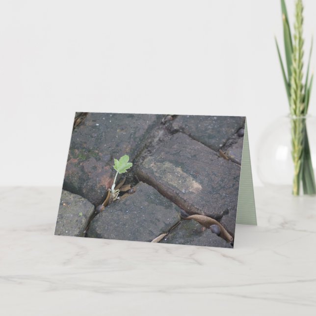 "determination" greeting card (Front)