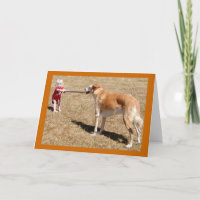 Determination Greeting Card