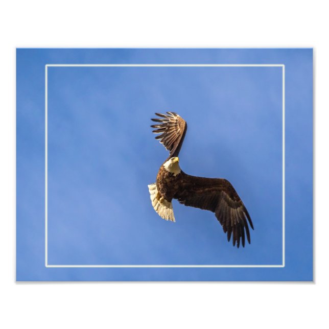 Determination Photo Print (Front)