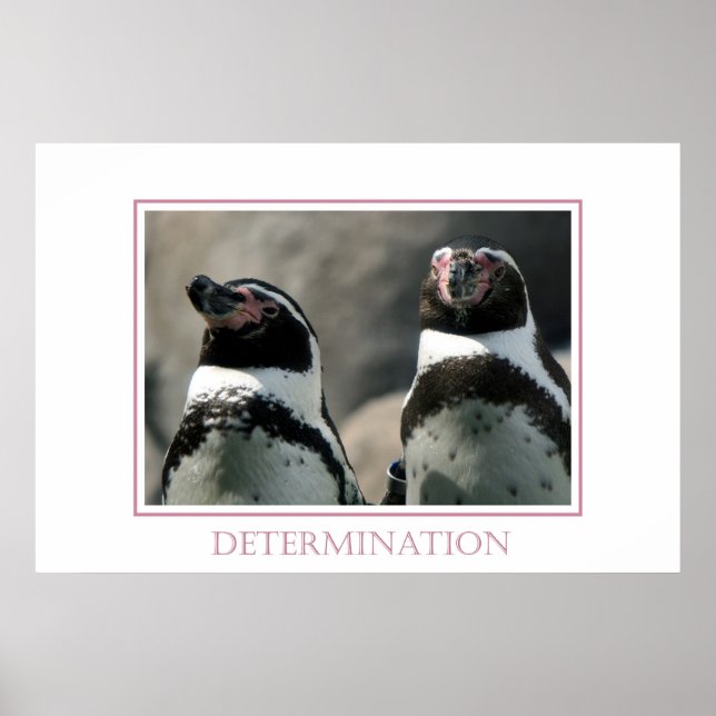 Determination Poster (Front)