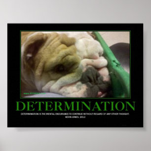 DETERMINATION POSTER! POSTER