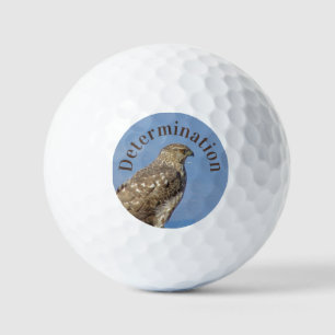 Determination Serious Hawk Photo Wild Raptor Bird  Golf Balls