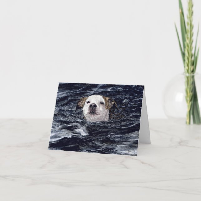 "Determination" - Swimming Dog Card (Front)