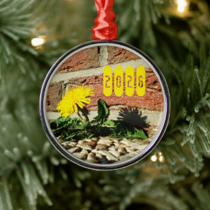 Determined Dandelion, Dandelion in Sidewalk Metal Tree Decoration