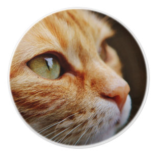 Determined Face of a Ginger Cat Ceramic Knob