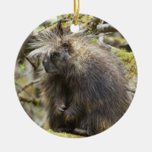 Determined Porcupine Ceramic Tree Decoration