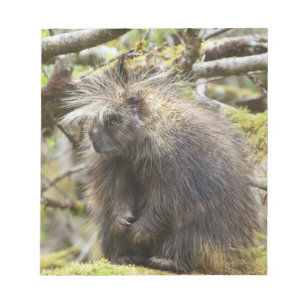 Determined Porcupine Notepad