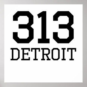Detroit Area Code 313 Poster