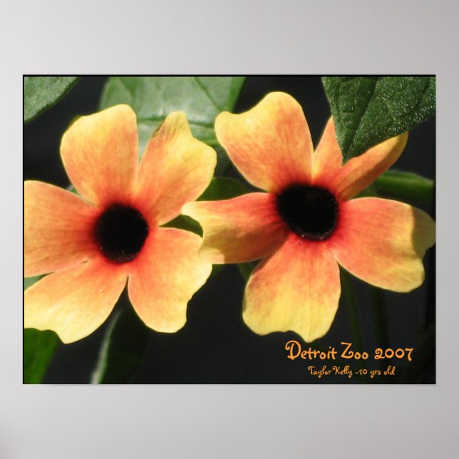 Detroit Zoo Poster (Front)