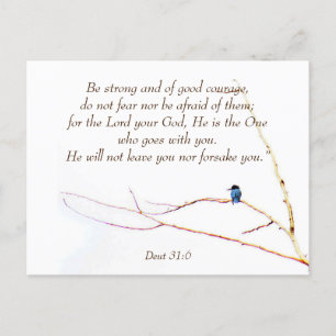 Deut 31:6 You are Not Alone Bible Kingfisher Bird Postcard