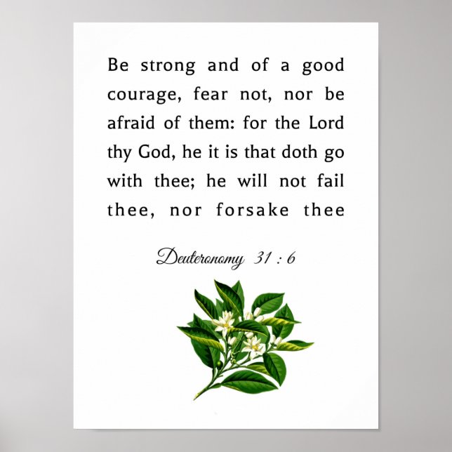 Deuteronomy 31 : 6 poster (Front)