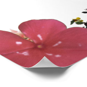 Deuteronomy 31, Do not be afraid, Red Floral Poster