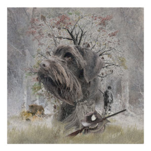 Deutsch Drahthaar Photo Print