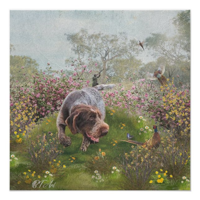 Deutsch Drahthaar    Poster (Front)