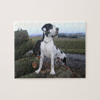 Deutsche Dogge, Great Dane, Dogs, Dogue Allemand Jigsaw Puzzle