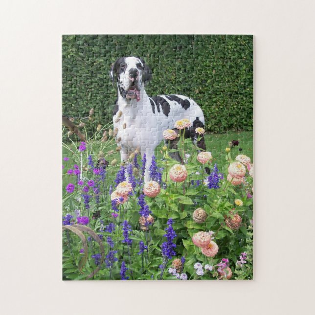 Deutsche Dogge, Great Dane, Dogs, Dogue Allemand Jigsaw Puzzle (Vertical)
