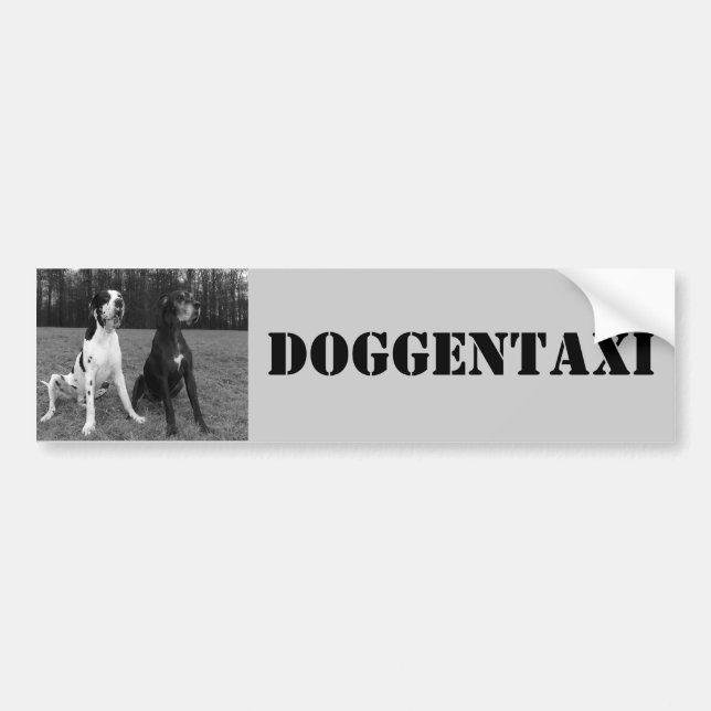 Deutsche Dogge, Great Dane, Harlekin, Taxi, Sticke Bumper Sticker (Front)