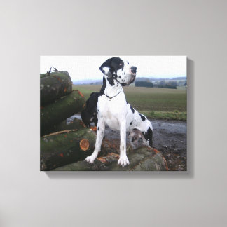 Deutsche Dogge, Great Dane,Hunde,Dogue Allemand Canvas Print
