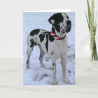 Deutsche Dogge,Weihnachten,Neujahr,lustigesGedicht
