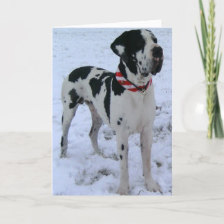 Deutsche Dogge,Weihnachten,Neujahr,lustigesGedicht Holiday Card