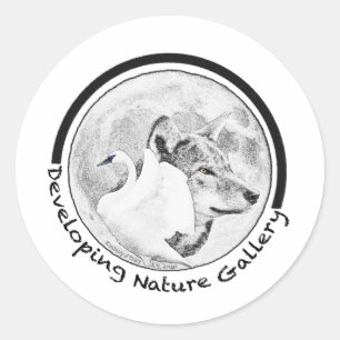Developing Nature Gallery Logo Classic Round Sticker