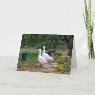 Devil Ducks -Blank all purpose card. Card