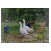 Devil Ducks Glass Chopping Board