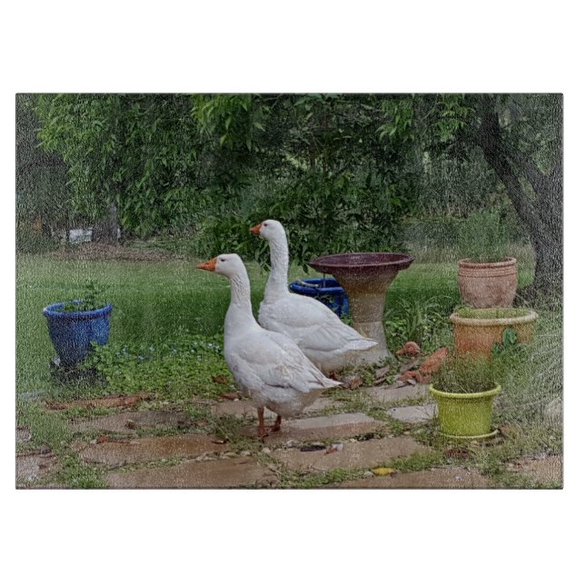 Devil Ducks Glass Chopping Board (Front)