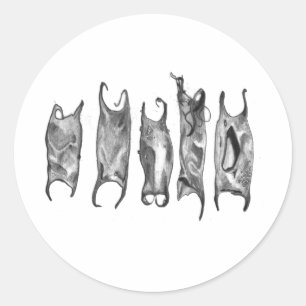 devil purses by stanthos classic round sticker